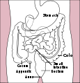 Thumbnail for version as of 22:58, 15 June 2007