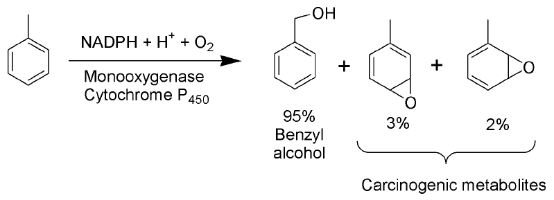 File:Toluene Metabolism Scheme.png