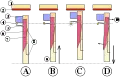 Thumbnail for version as of 15:42, 18 February 2007