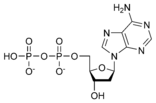 Chemical structure of deoxyadenosine diphosphate