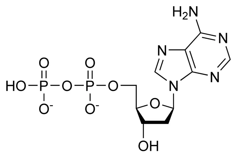 File:DADP chemical structure.png
