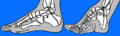 Thumbnail for version as of 16:43, 14 November 2007
