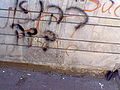 Thumbnail for version as of 05:39, 29 December 2006