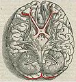 Thumbnail for version as of 15:43, 7 December 2007