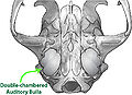 Thumbnail for version as of 01:07, 7 September 2008