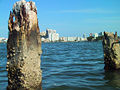 Thumbnail for version as of 21:04, 10 January 2009
