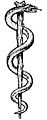 Thumbnail for version as of 21:36, 13 December 2007