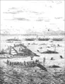 Thumbnail for version as of 03:29, 17 January 2008