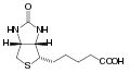 Thumbnail for version as of 22:21, 13 March 2007