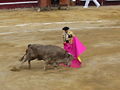 Thumbnail for version as of 02:24, 21 November 2007