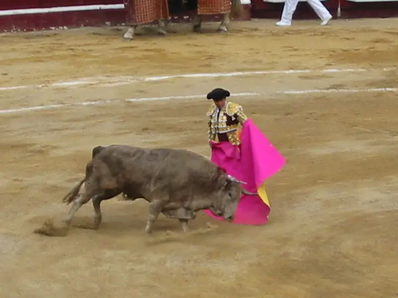 File:Bullfight-Bogotá-1.jpg