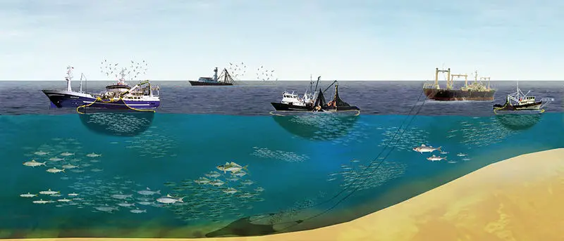 File:East pacific fishing.jpg