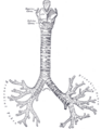 Thumbnail for version as of 00:45, 27 September 2007