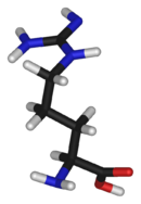3D structure of L-arginine