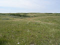 Thumbnail for version as of 19:24, 11 February 2009