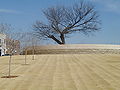 Thumbnail for version as of 01:24, 20 December 2008