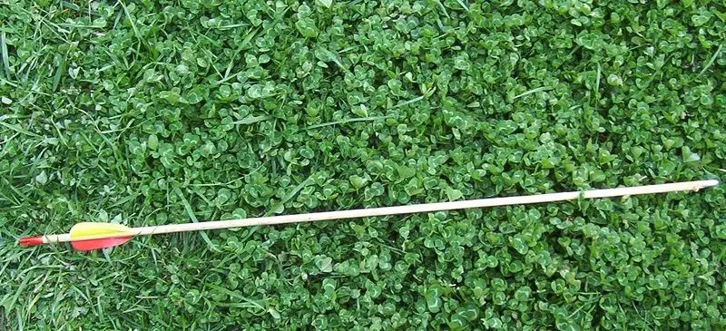 File:DFRArrow.jpg