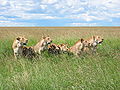 Thumbnail for version as of 20:40, 23 June 2009
