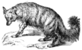 Thumbnail for version as of 19:40, 29 November 2008