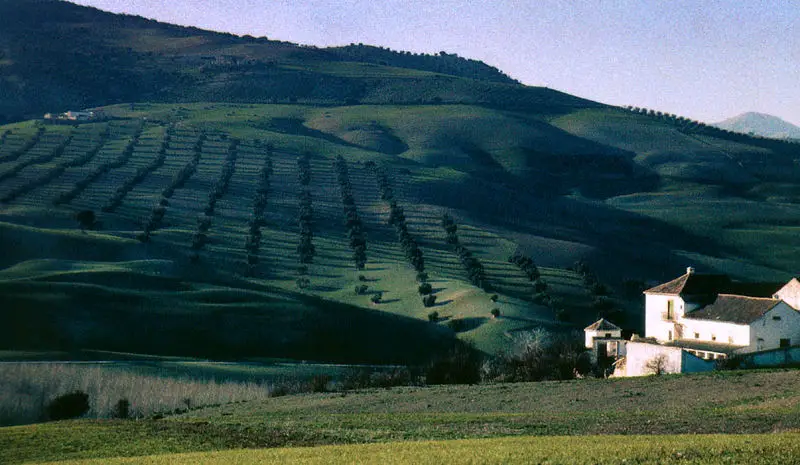 File:NrAlhama.jpg