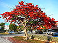 Thumbnail for version as of 20:27, 9 December 2008