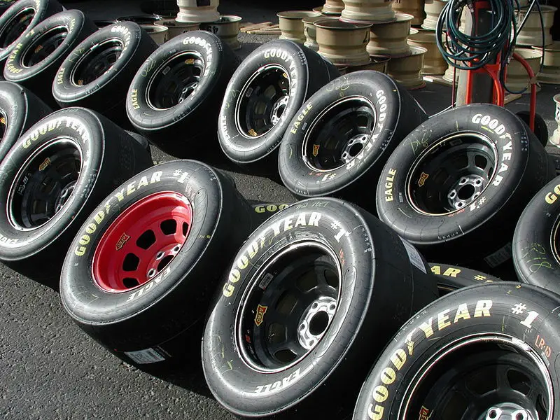 File:Nascarphx16.jpg