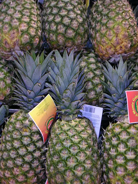 File:Pineapple display.jpg