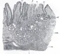 Thumbnail for version as of 01:50, 15 July 2007