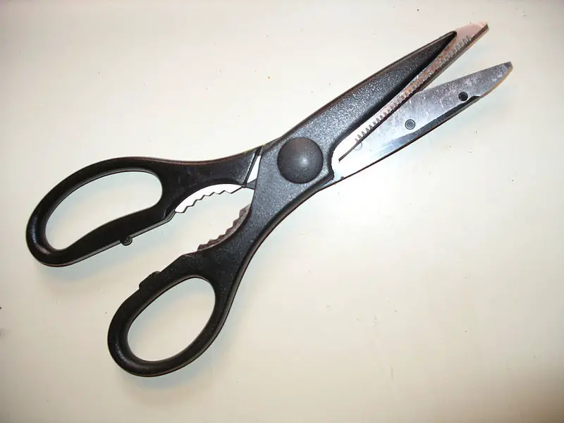 File:Kitchenscissors.jpg