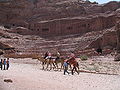 Thumbnail for version as of 05:50, 10 May 2008