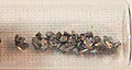 Thumbnail for version as of 17:45, 25 November 2006