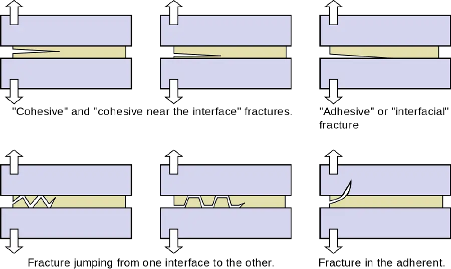 Adhesive New World Encyclopedia