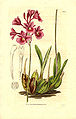Thumbnail for version as of 22:44, 9 June 2007