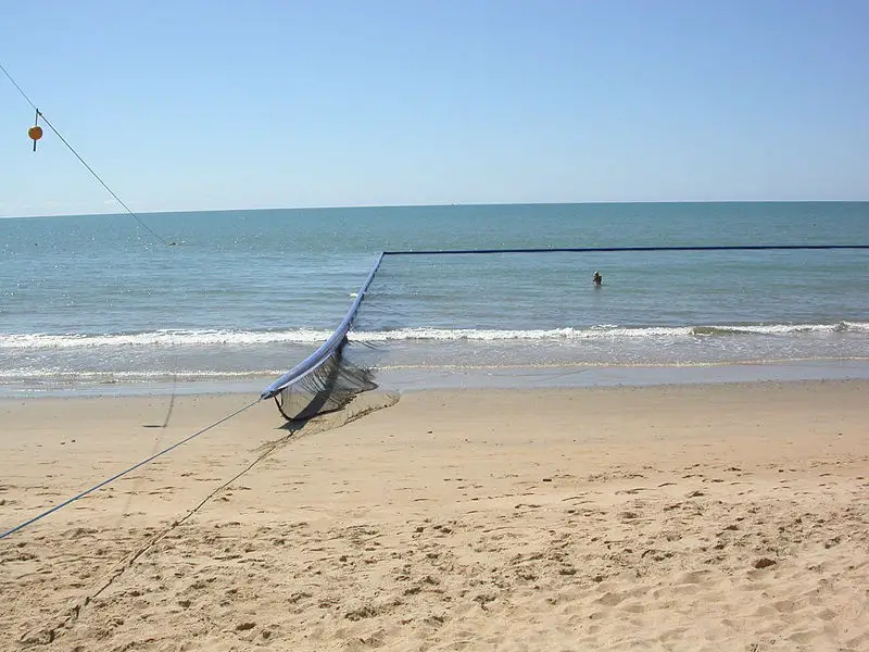 File:JellyfishNetAustralia.JPG
