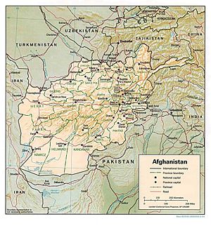 Afghan-big.jpg