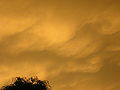 Thumbnail for version as of 01:24, 24 August 2007