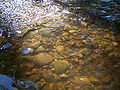 Thumbnail for version as of 04:10, 21 November 2007