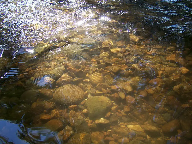 File:Low creek.jpg