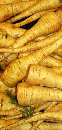 A selection of parsnips