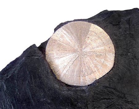 Crystal - New World Encyclopedia