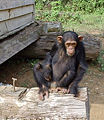 Thumbnail for version as of 20:22, 2 July 2006