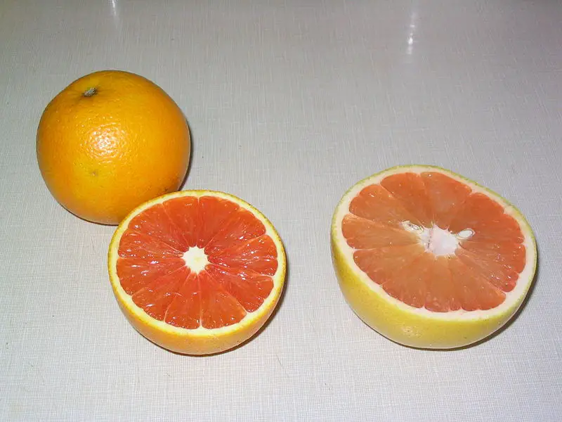 File:Cara cara orange.JPG