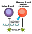 Thumbnail for version as of 15:33, 6 May 2007