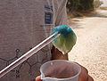Thumbnail for version as of 04:26, 22 November 2007