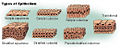 Thumbnail for version as of 00:22, 8 February 2007