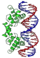 Thumbnail for version as of 06:19, 22 December 2007