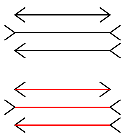 File:Muller-Lyer illusion.svg