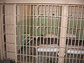 Thumbnail for version as of 19:03, 14 October 2007