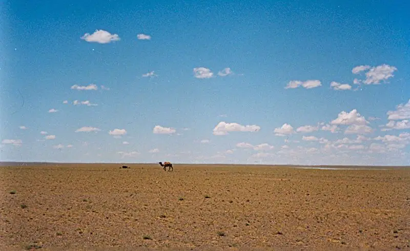 File:OmnogoviLandscape.jpg
