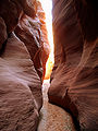 Thumbnail for version as of 22:59, 12 October 2007